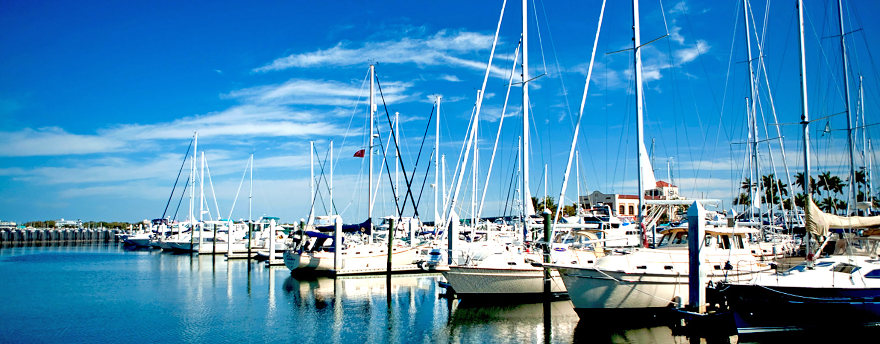 The marina in downtown Bradenton on the Manatee River